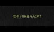 怎么训练金毛起来
