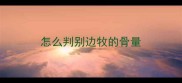怎么判别边牧的骨量
