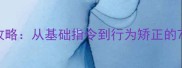 哈士奇训练全攻略从基础指令到行为矫正的7天科学训练法