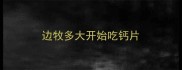 边牧多大开始吃钙片