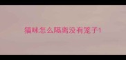 猫咪怎么隔离没有笼子