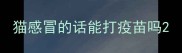 猫感冒的话能打疫苗吗