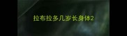 拉布拉多几岁长身体