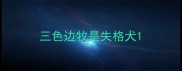三色边牧是失格犬
