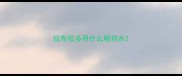 拉布拉多用什么眼药水