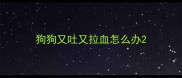 狗狗又吐又拉血怎么办