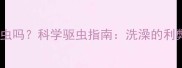 猫咪洗澡能除虫吗科学驱虫指南洗澡的利弊与专业方法