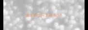 金毛两个月大吃多少