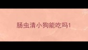 肠虫清小狗能吃吗