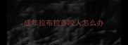 成年拉布拉多咬人怎么办