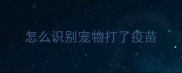 怎么识别宠物打了疫苗