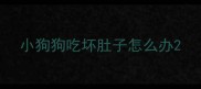 小狗狗吃坏肚子怎么办