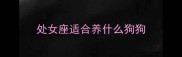 处女座适合养什么狗狗