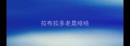 拉布拉多老是哈哈