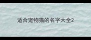 适合宠物猫的名字大全