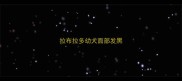 拉布拉多幼犬面部发黑