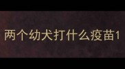 两个幼犬打什么疫苗