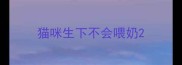 猫咪生下不会喂奶