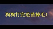 狗狗打完疫苗掉毛