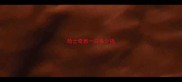 哈士奇崽一只多少钱