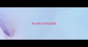 哈士奇几月可以刮毛