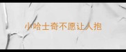 小哈士奇不愿让人抱