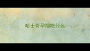 哈士奇孕期吃什么
