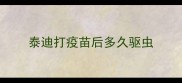 泰迪打疫苗后多久驱虫