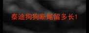 泰迪狗狗断尾留多长