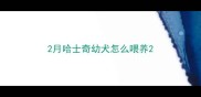2月哈士奇幼犬怎么喂养