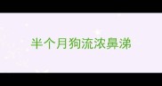 半个月狗流浓鼻涕