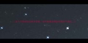 五个月雪纳瑞训练全攻略幼犬期黄金期这样带娃不踩坑