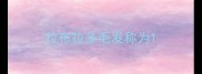 拉布拉多毛发称为