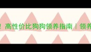 300元预算也能领养高性价比狗狗领养指南领养代替购买宠物科普