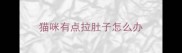 猫咪有点拉肚子怎么办