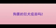 狗要的狂犬疫苗吗
