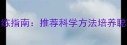 拉布拉多3-6月龄黄金期训练指南推荐科学方法培养聪明导盲犬附训练视频