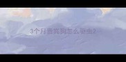 3个月贵宾狗怎么驱虫
