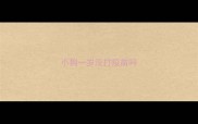 小狗一岁没打疫苗吗