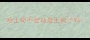哈士奇不爱动是生病了吗