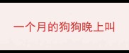 一个月的狗狗晚上叫