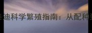 母黄泰迪公白泰迪科学繁殖指南从配种到幼犬培育全流程