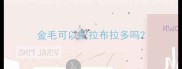 金毛可以配拉布拉多吗