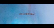 边牧出门要牵引绳么