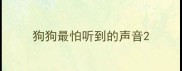 狗狗最怕听到的声音