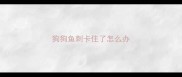 狗狗鱼刺卡住了怎么办