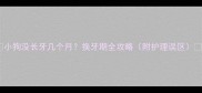小狗没长牙几个月换牙期全攻略附护理误区