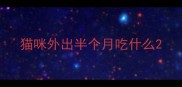 猫咪外出半个月吃什么