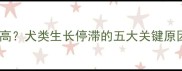 哈士奇停止长高犬类生长停滞的五大关键原因及应对策略