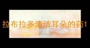 拉布拉多清洁耳朵的药